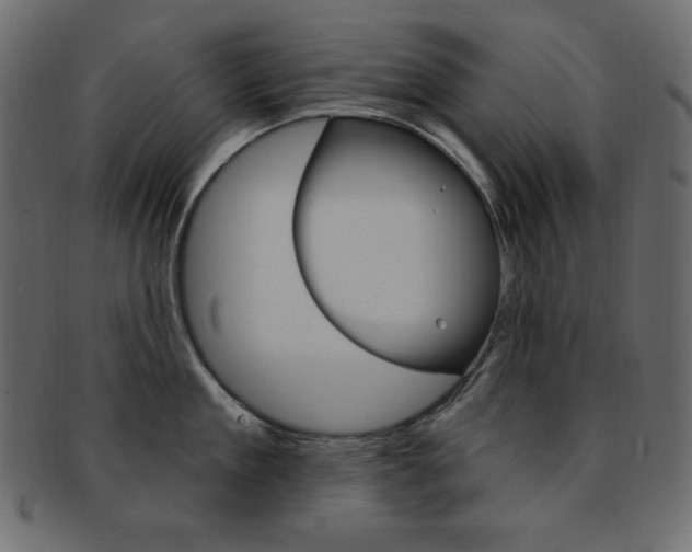 X0000093170909200709261053