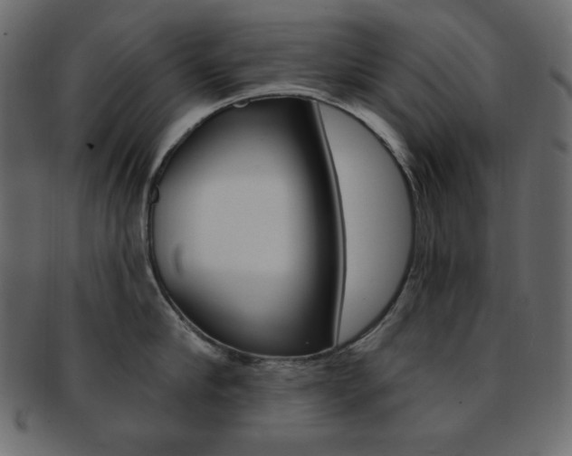 X0000093170910200709261053