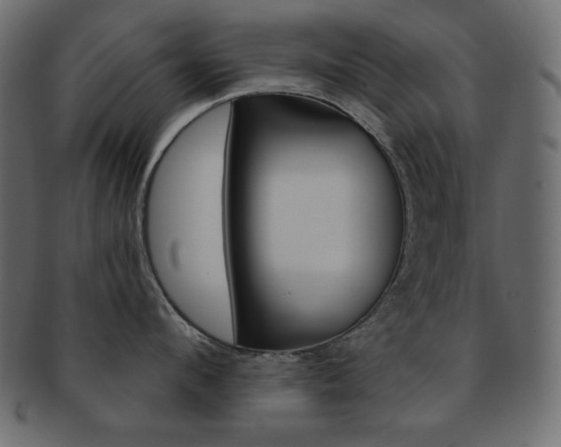 X0000093170912200709261053