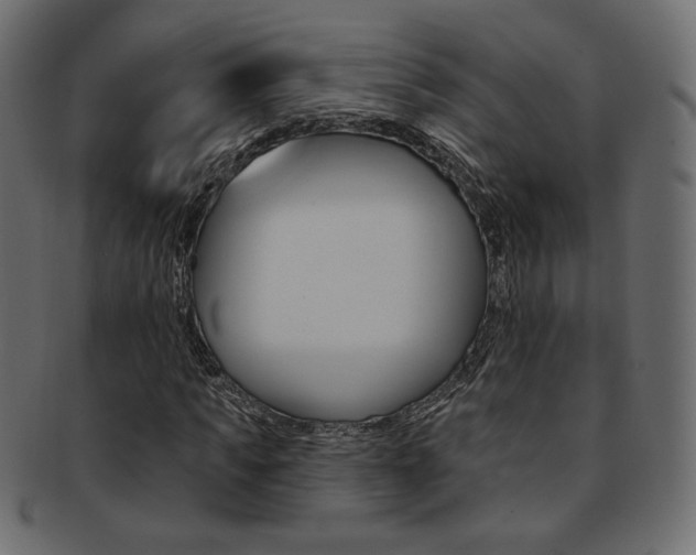X0000093170917200709261052