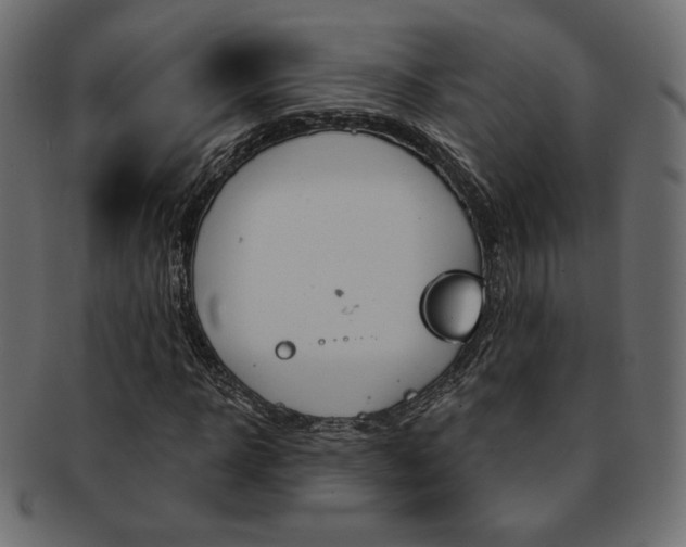 X0000093170918200709261052