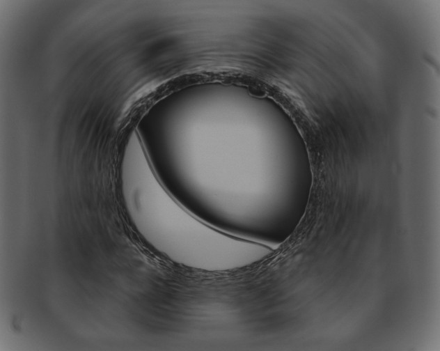 X0000093170920200709261052
