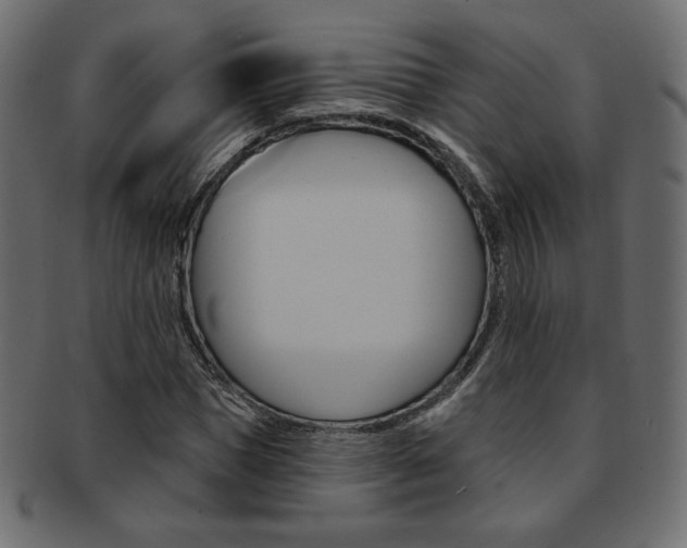 X0000093170921200709261052