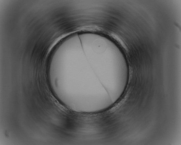 X0000093170923200709261052