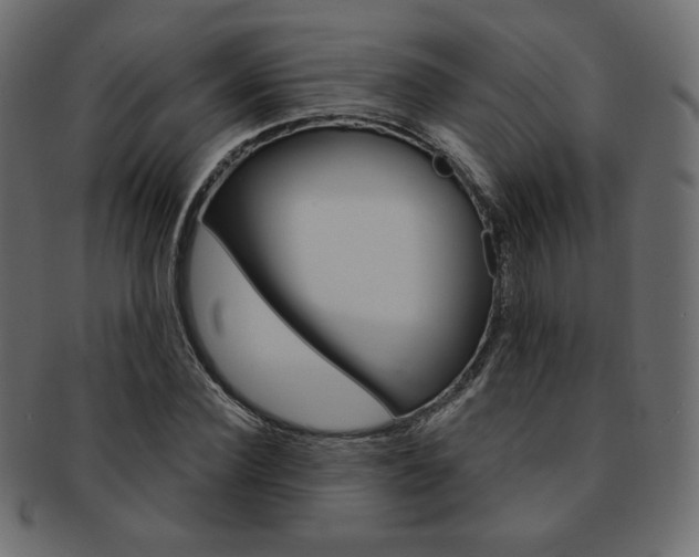 X0000093170924200709261052