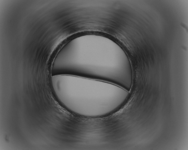 X0000093170926200709261052