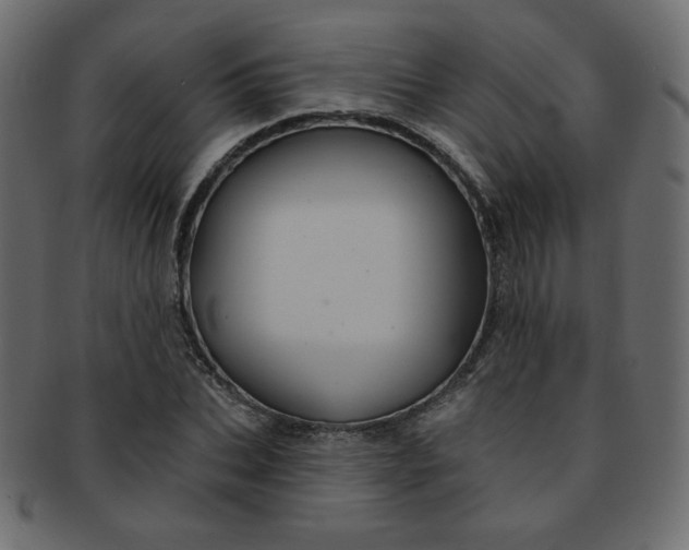 X0000093170927200709261052