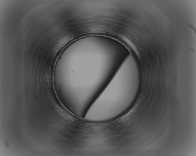 X0000093170930200709261052