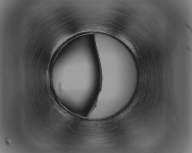 X0000093170936200709261052