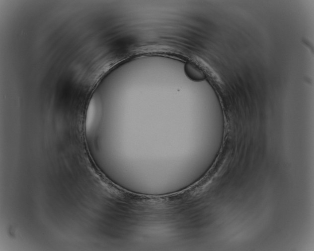X0000093170937200709261052