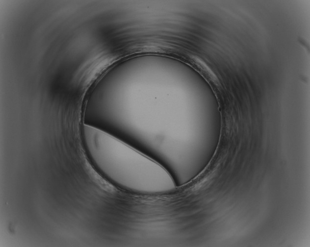 X0000093170938200709261053