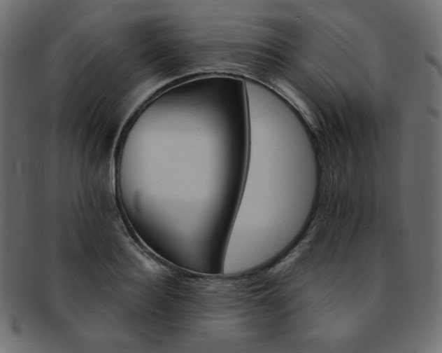 X0000093170940200709261053