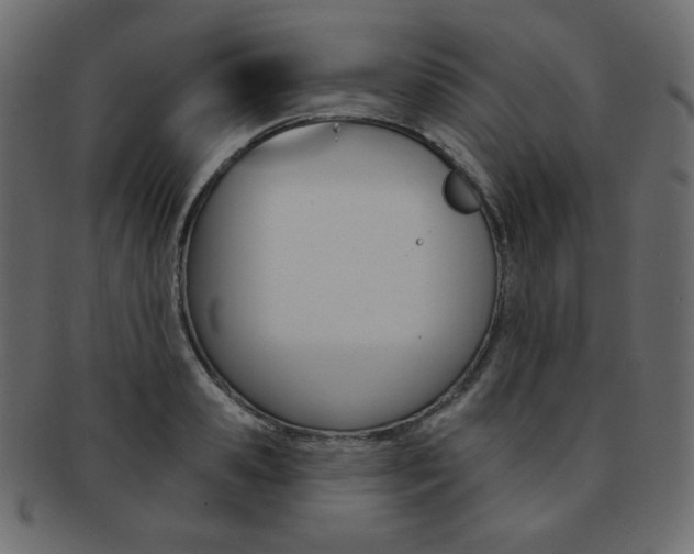 X0000093170941200709261053