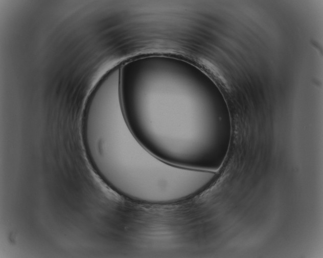 X0000093170942200709261053