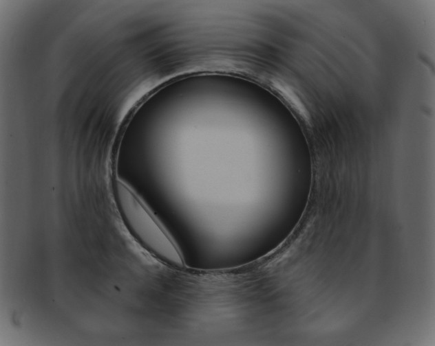 X0000093170944200709261053