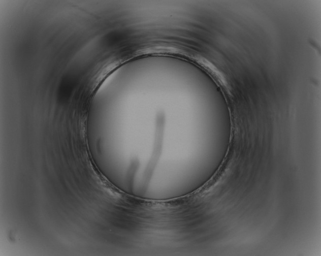 X0000093170945200709261053