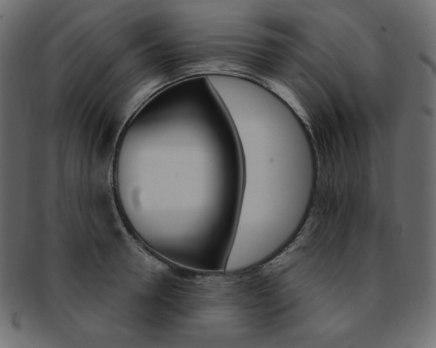 X0000093170946200709261053