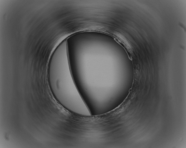 X0000093170948200709261053