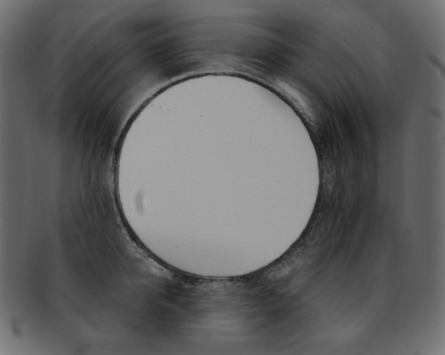 X0000093170950200709261053