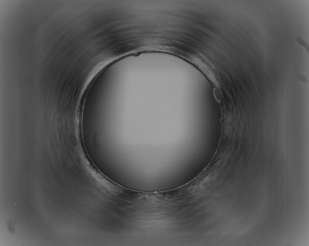 X0000093170955200709261053