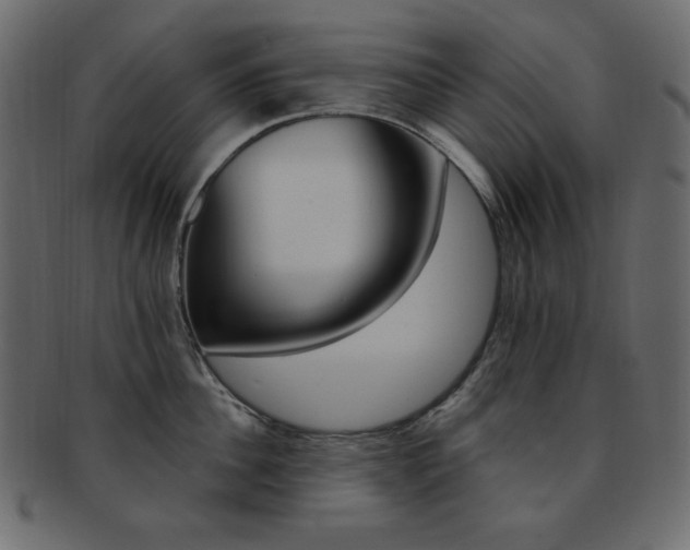 X0000093170956200709261053