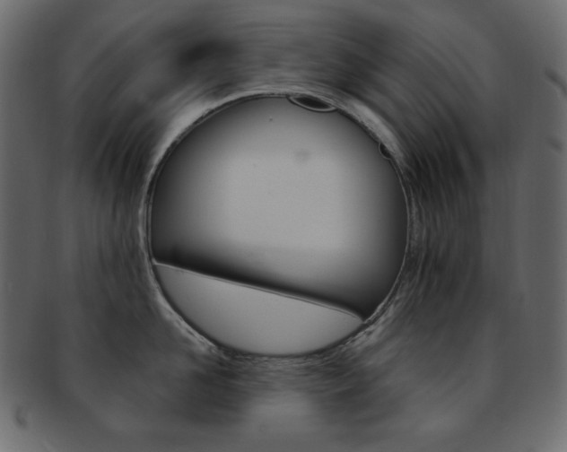 X0000093170958200709261053