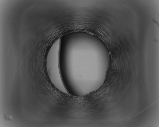 X0000093170961200709261052