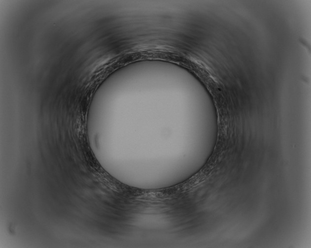 X0000093170966200709261052