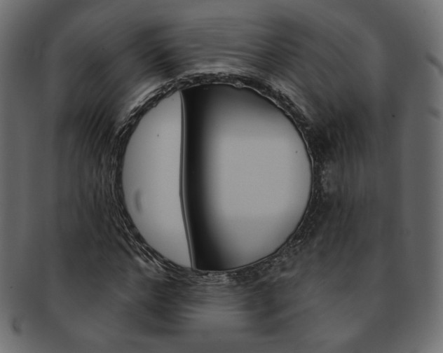 X0000093170968200709261052