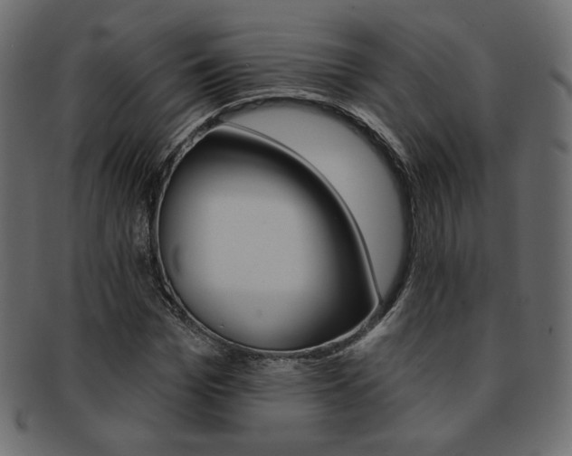 X0000093170969200709261052