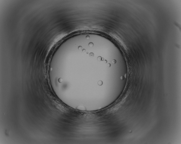 X0000093170974200709261052