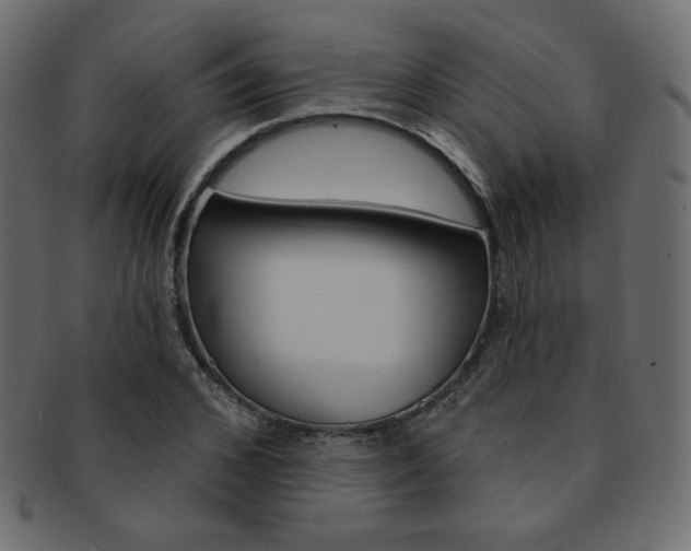 X0000093170976200709261052
