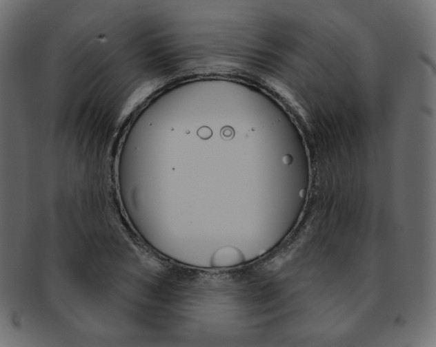 X0000093170978200709261052
