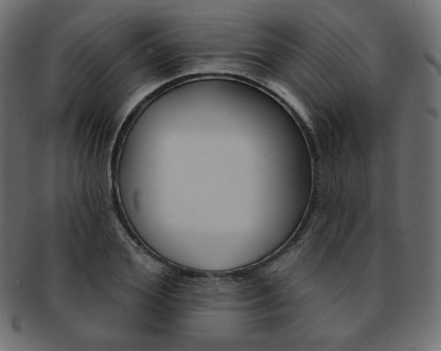 X0000093170980200709261052