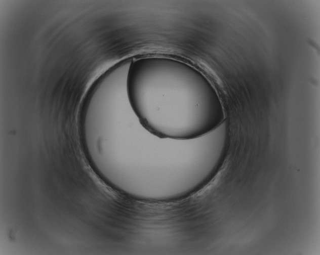 X0000093170981200709261052