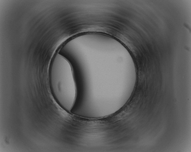 X0000093170988200709261052