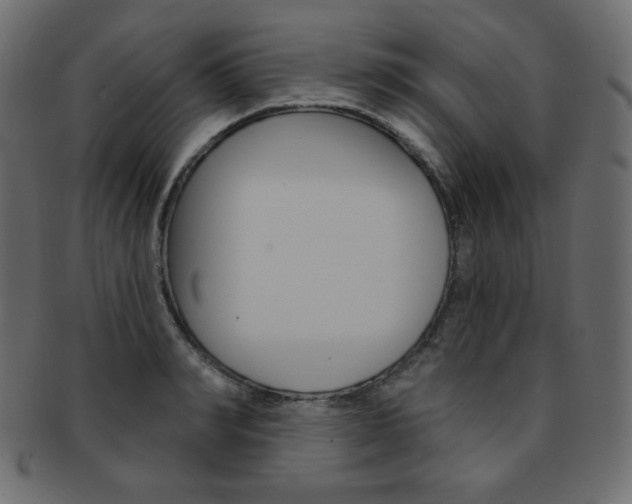 X0000093170990200709261052