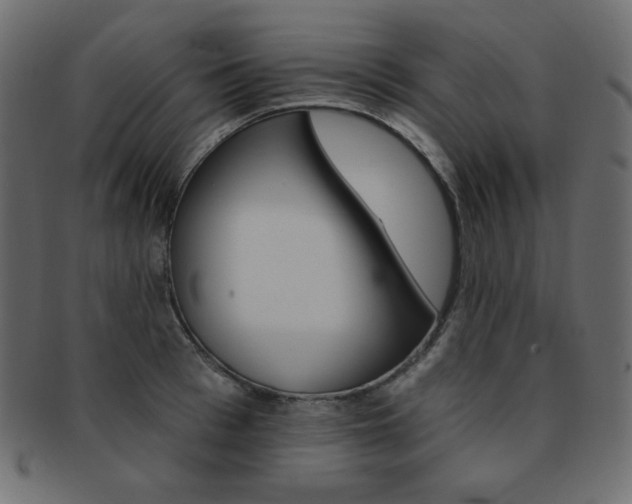 X0000093170993200709261052