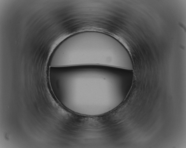 X0000093170995200709261052