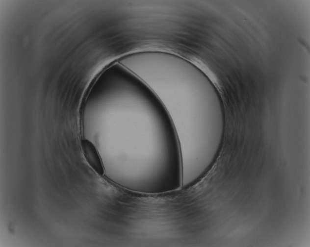 X0000093170996200709261052