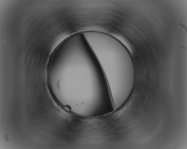 X0000093170999200709261052