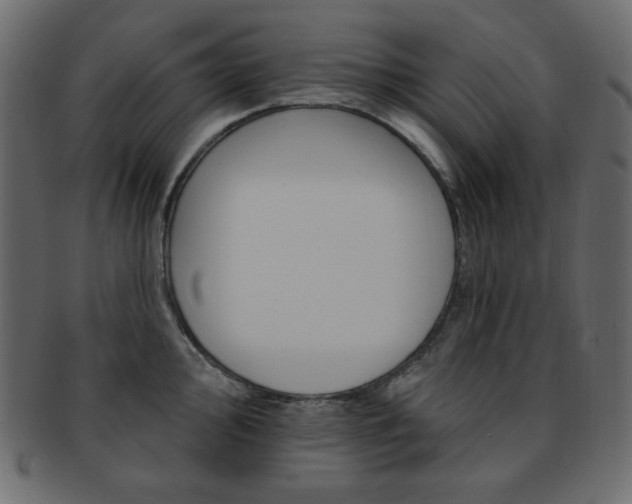 X0000093171000200709261052