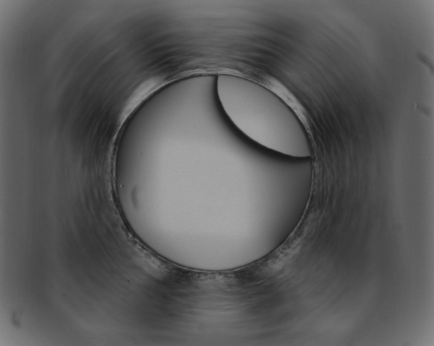 X0000093171002200709261052