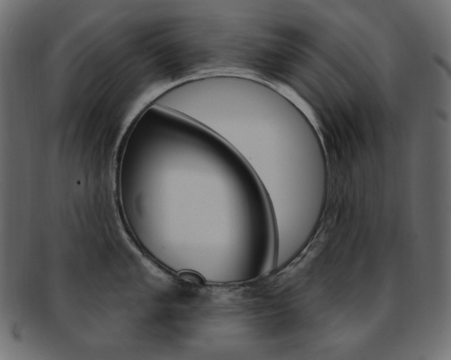 X0000093171005200709261052