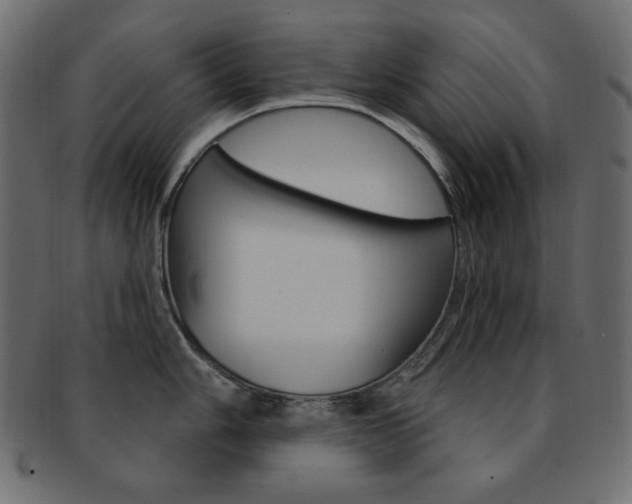 X0000093171006200709261052