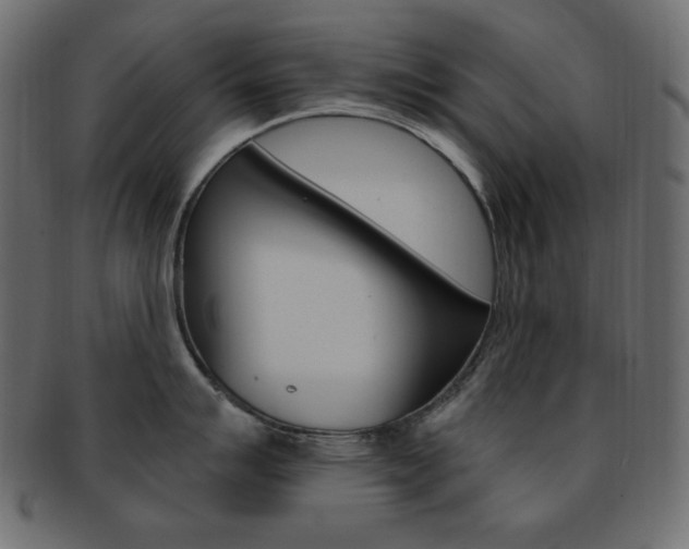 X0000093171007200709261052
