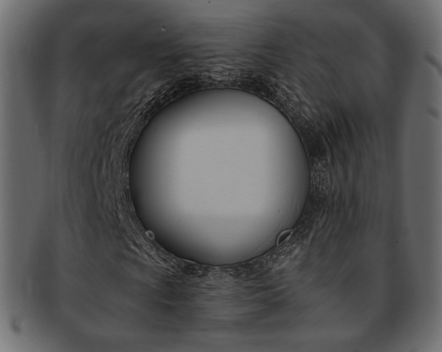 X0000093171009200709261051