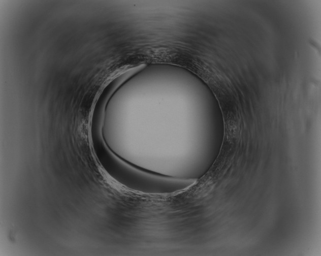 X0000093171010200709261051