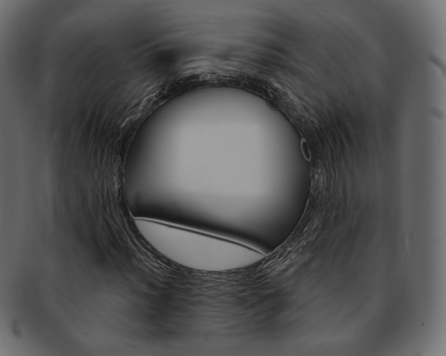X0000093171012200709261051