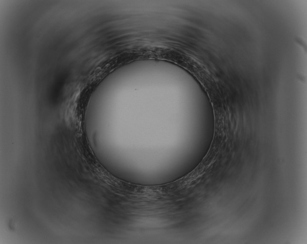 X0000093171013200709261051